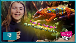 Kassi's WORLD im Reptilienzoo Happ - Klagenfurt