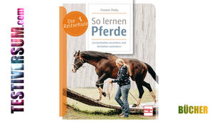 So lernen Pferde
