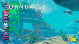 Turquoise (PC)
