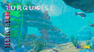 Turquoise (PC)