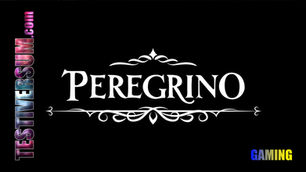 Peregrino (PC)