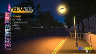 Virtual Driving School (PC)