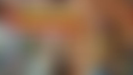 Trading Card Shop Simulator (PC)