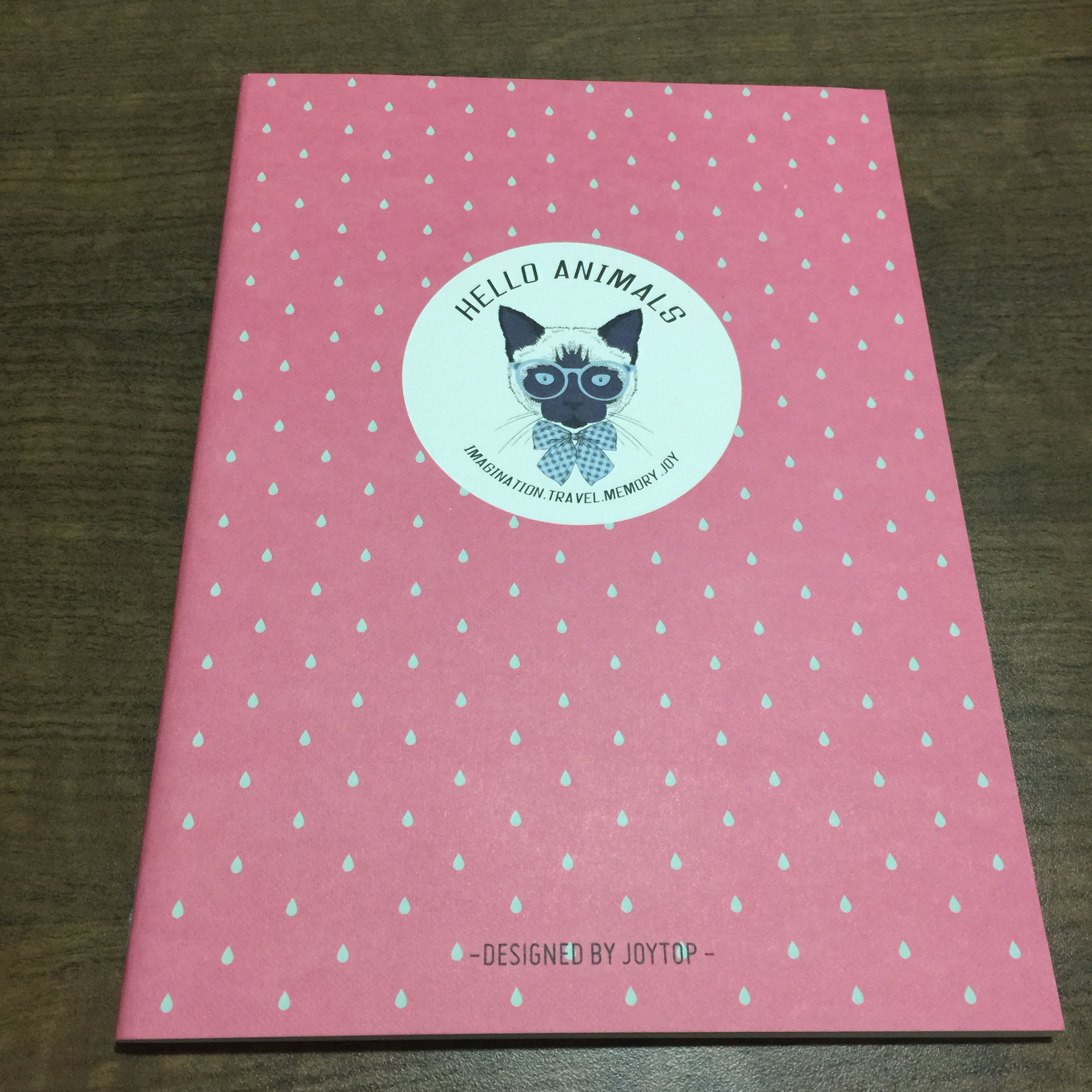 Caderno Pautado - Gato