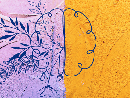 Floral brain illustration with dark blue lines on a textured pink and yellow background, merging abstract plant and anatomical elements.