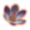 Sample Post It.png