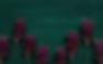 Organizing An ADHD Brain Nature Background 1_edited.jpg