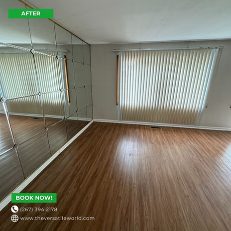 Furniture Removal - Before