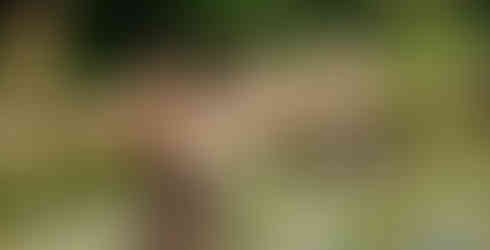 ©Les Chalets du Mont d’Arbois, yoga