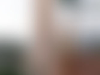 Hotel La Palma, l’eleganza senza tempo nel cuore di Capri 