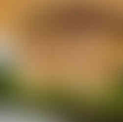 Bozushi Akiyoshi ©JustinDeSouza