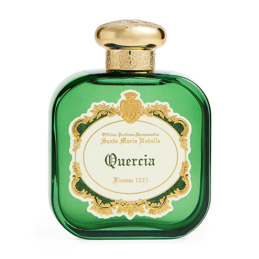 Quercia, la puissance tranquille du chêne