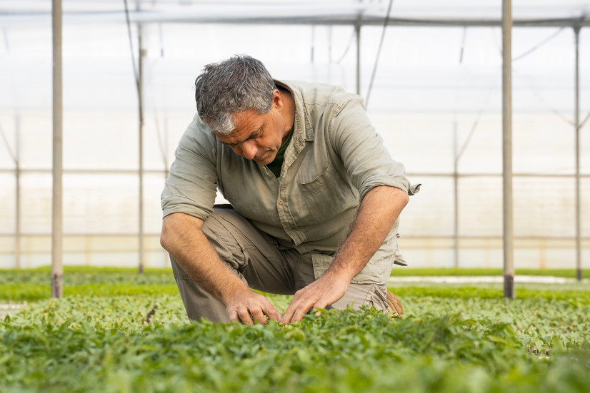 ©Borgo Egnazia, Angelo Giordano, dirige le projet d’agriculture du domaine