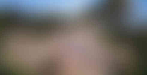 Vue d'ensemble du domaine, ©Le Collectionist, Domaine des Salins.