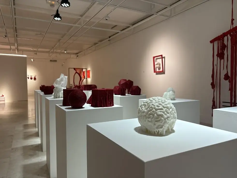 Quand l’art sauve les coraux : Jérémy Gobé au Musée des Beaux-Arts d’Alençon