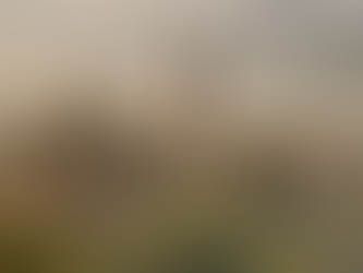 Le printemps au sommet des vignes : Villa Eleonora Italia, le refuge italien où le temps ralentit