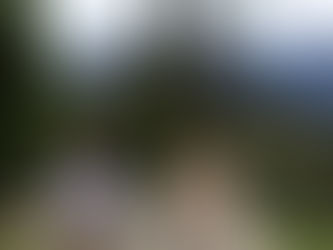 The codes of luxury: between openness and belonging