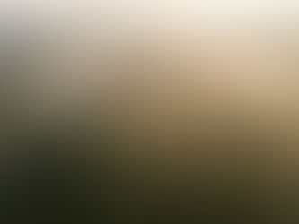 Palm Oil in Sri Lanka: A Missed Growth Engine, Not a Mistake