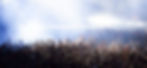iStock-495620974.jpg