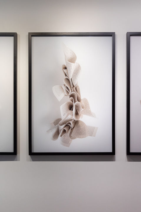 06-Jairo Llano - Exposicion 2023 - Y que nombre le pondremos -BOG-9397.jpg