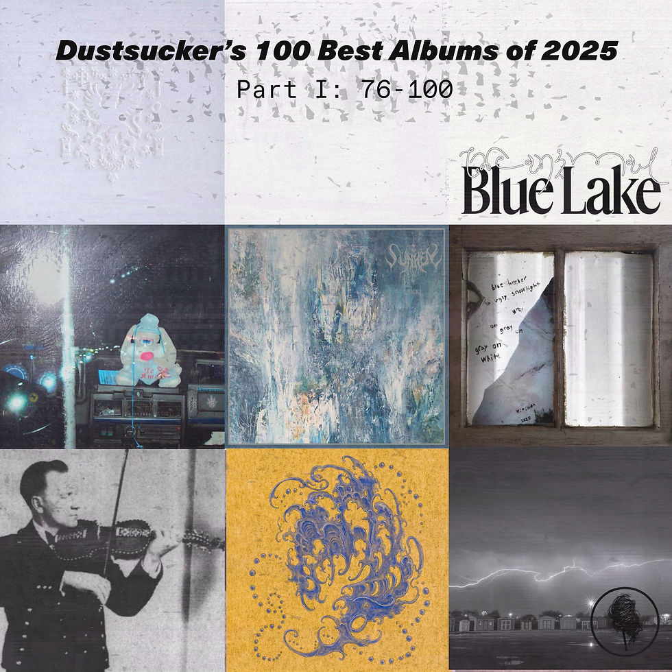album covers from dustsuckers 100 best albums of 2025