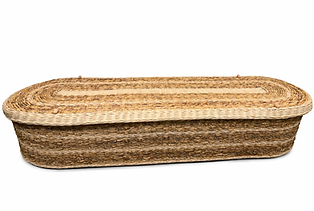 ChatGPT Image Mar 9, 2026, 11_03_35 AM.png