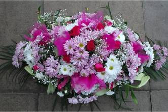 Thumbnail: Large Oasis