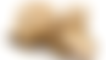 What happens if my freight is damaged or lost?