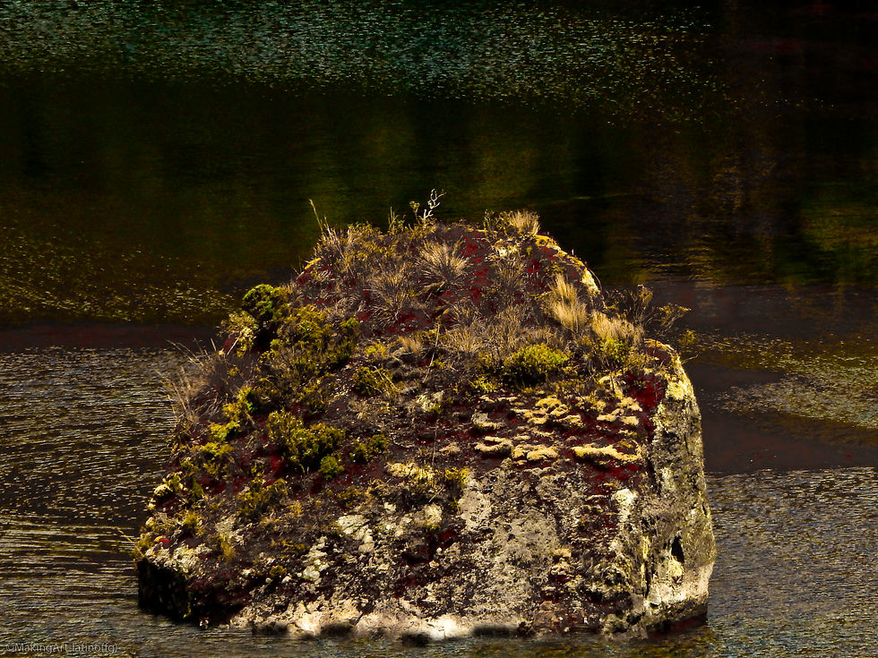 Roca en la laguna del cajas50