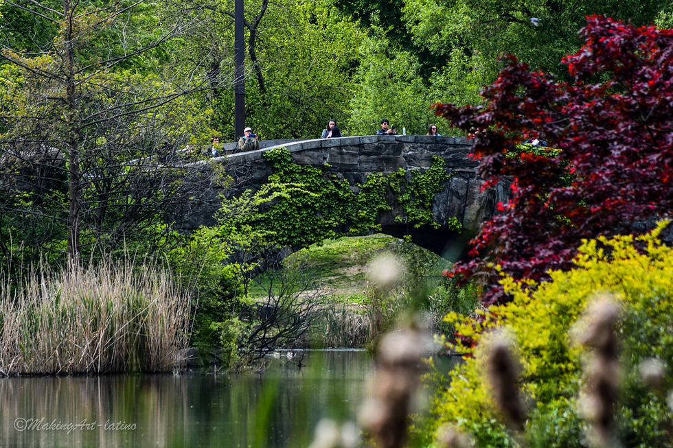 Gapstow Bridge, Central Park,