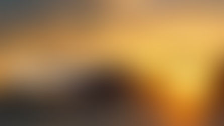 Major Export Products Of India