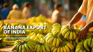 Banana Export From India