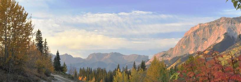 Image from Hinton.ca