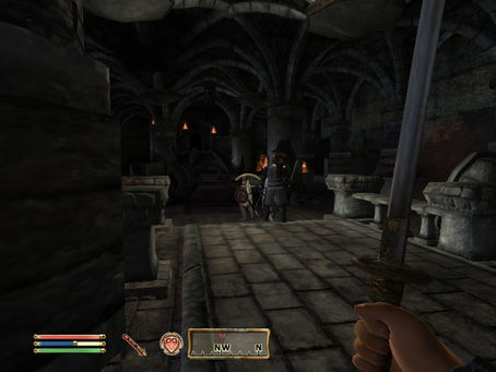 Imperfect Game: The Elder Scrolls IV: Oblivion