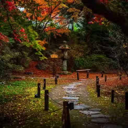 paysage d'automne