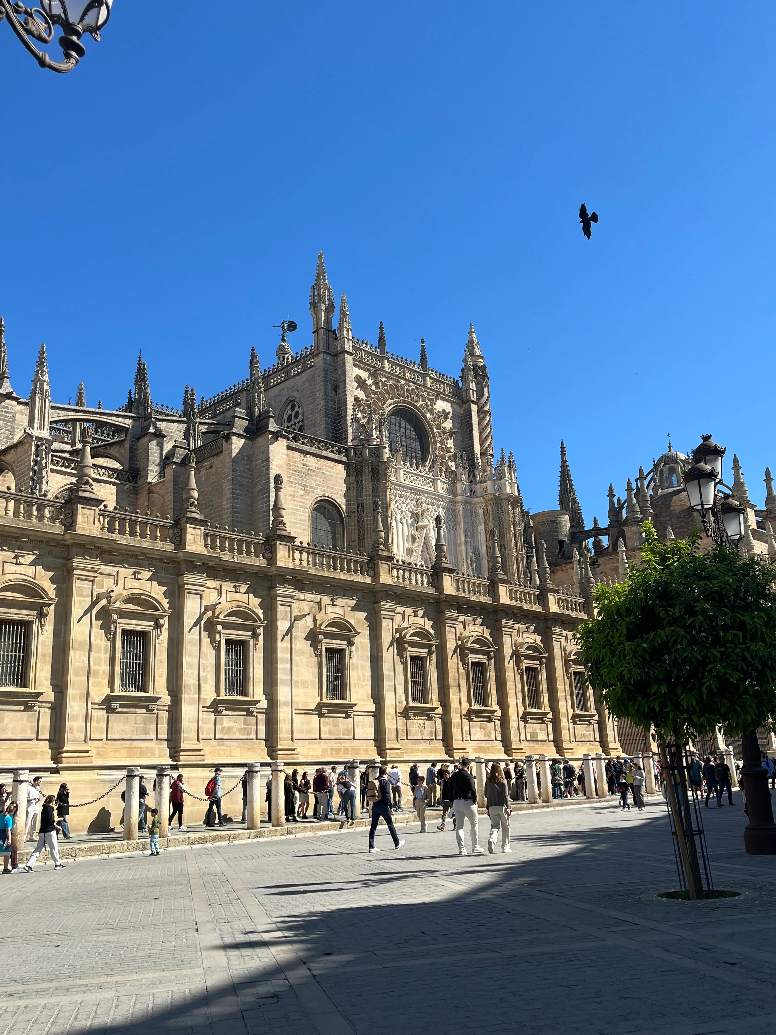 Cathédrale de Séville