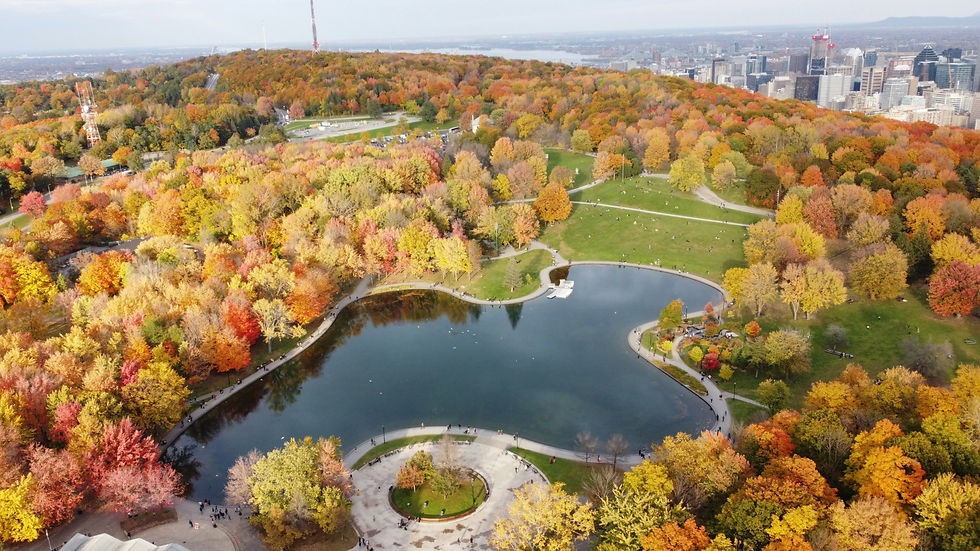 Mont Royal en automne vue du ciel