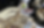 Screenshot 2025-03-23 at 14.46.40.png