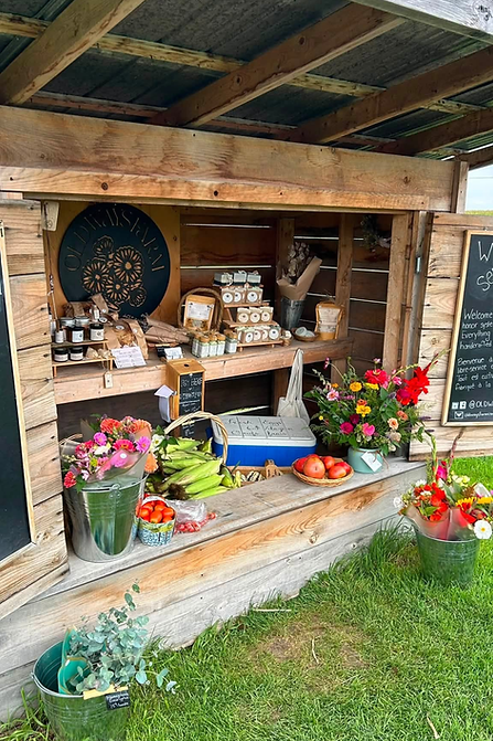 Untitled design (14).png