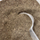 Miniaturbild: Pulver