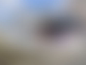 施設見学随時受付中