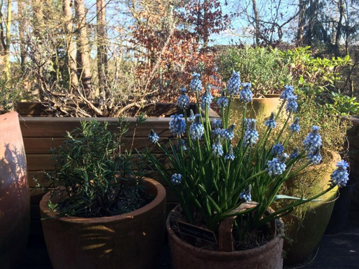 Passive Aggressivity