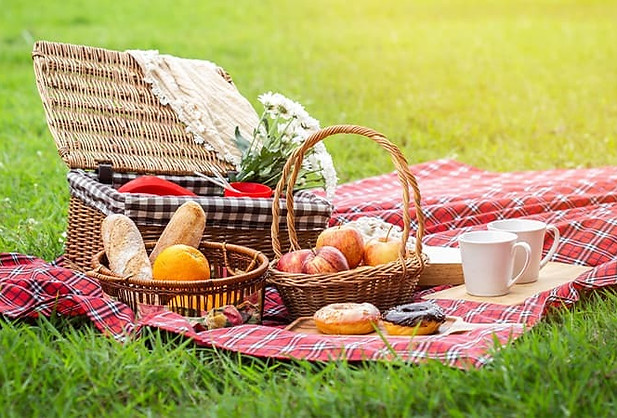Modern-Picnics.jpg