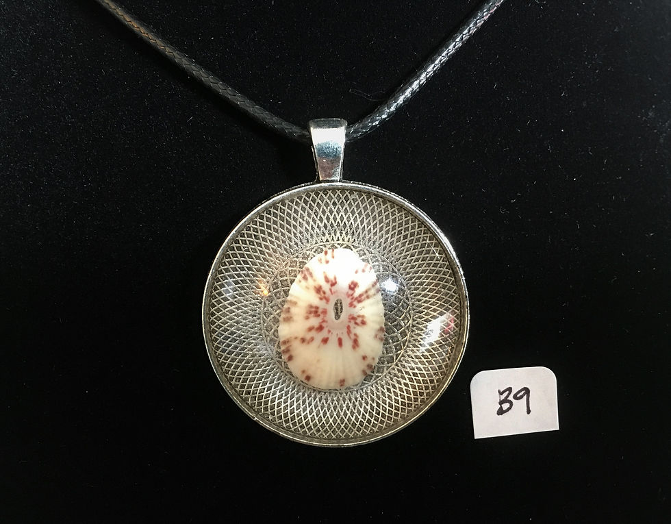 Thumbnail: Shell Pendant (B9)