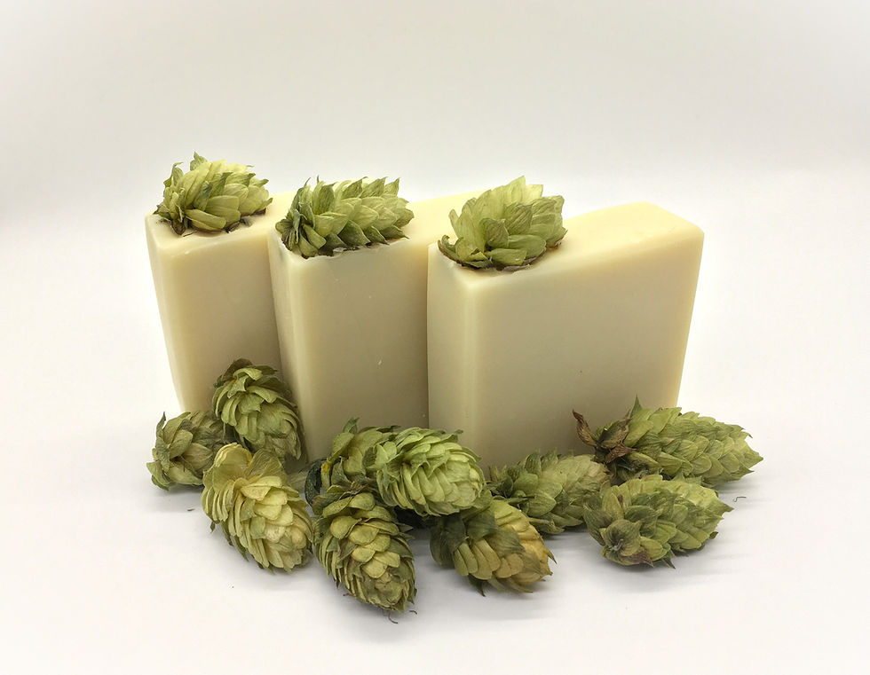 Hops & Amyris Soap