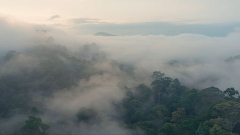 my connection documentary mediacorp chinese current affairs malaysia singapore ipoh muar cameron highlands kuala lumpur bentong durians nasi lemak food