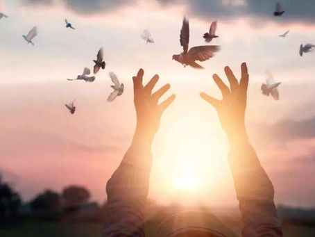 相信运气不如遵守因果|To Abide Cause and Effect……