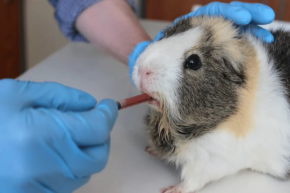 6d00ec2819d671001b5dd125c11aaf61