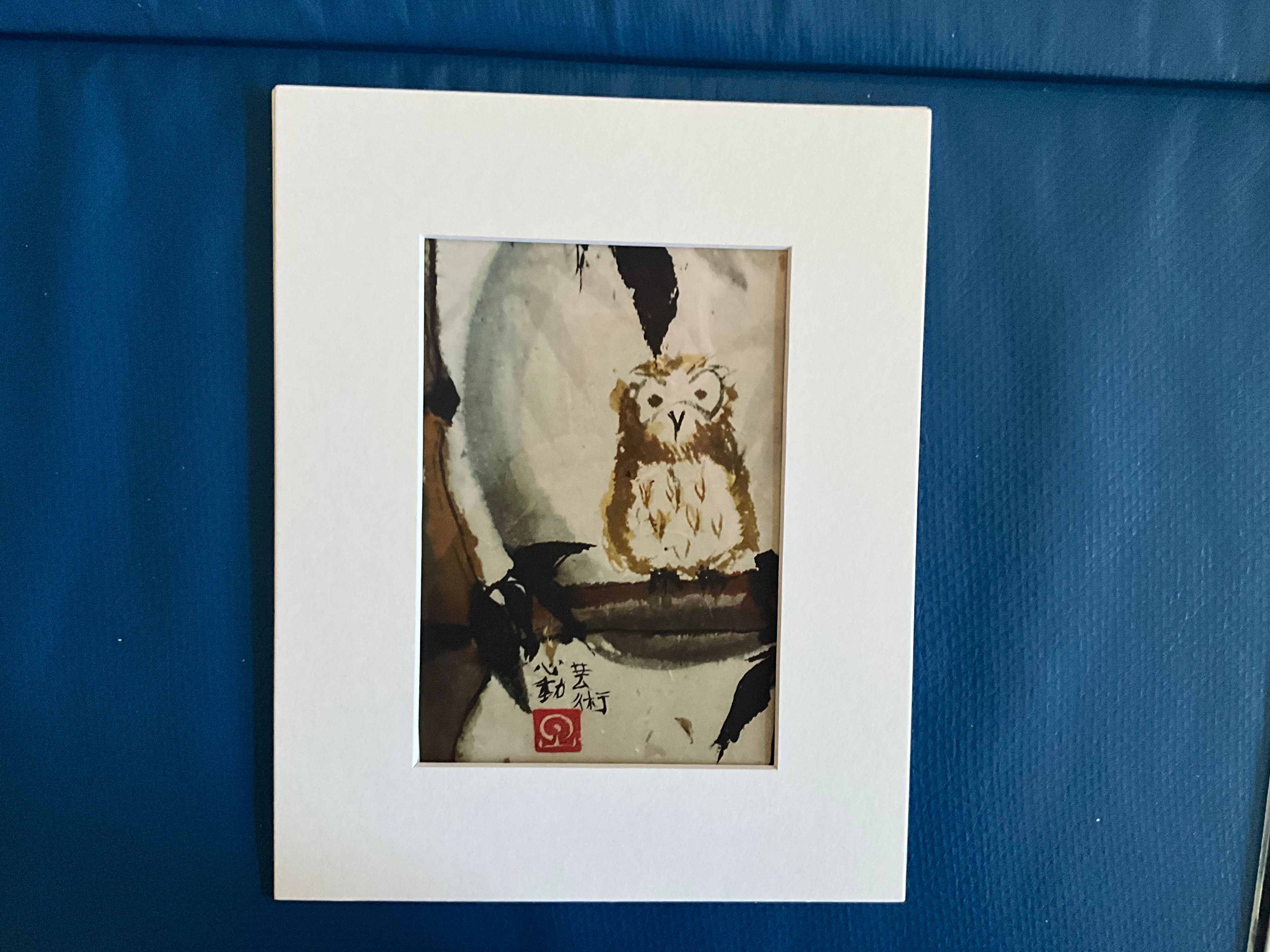 Minikin: Mt Baldy Owl
