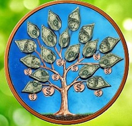 Money tree front